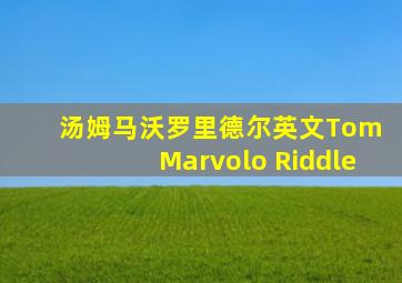 汤姆马沃罗里德尔英文Tom Marvolo Riddle